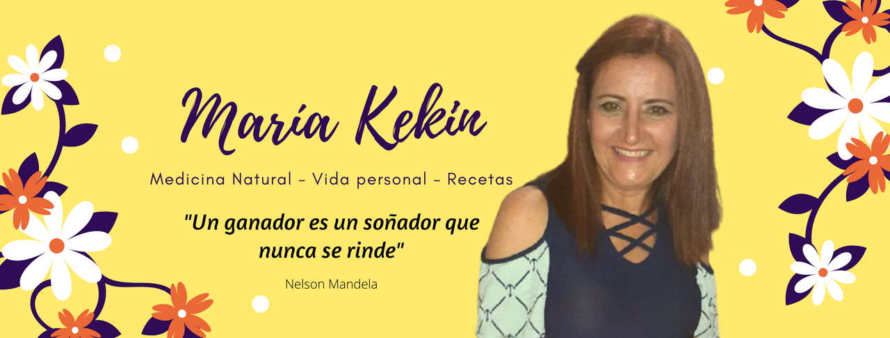 banner_maria_kekin_hive.png