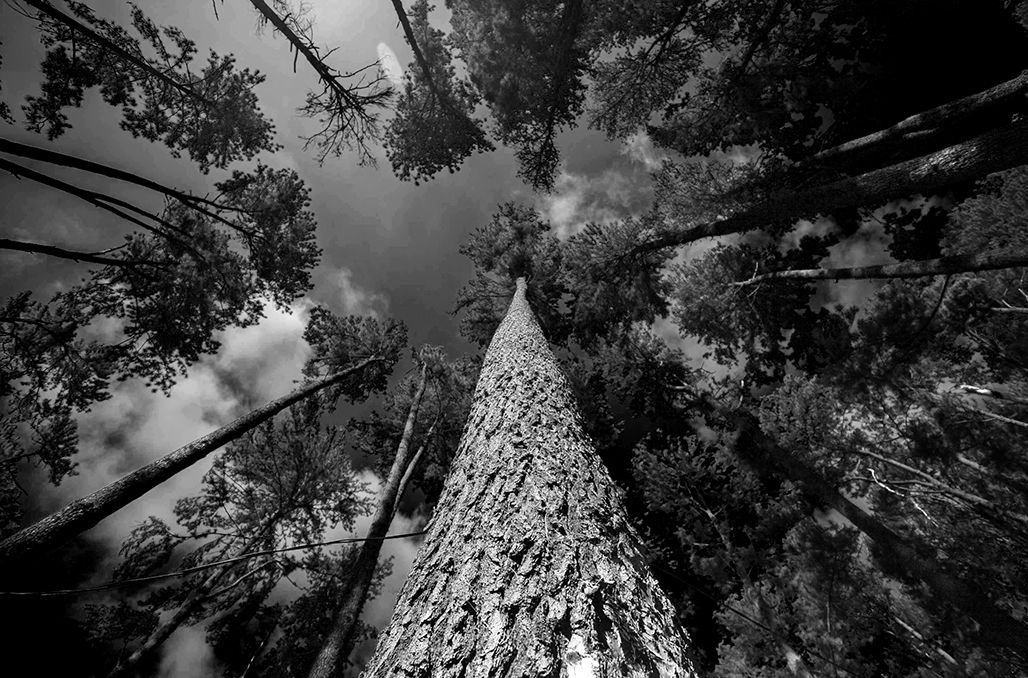 photo by oviyandi emnur (2).jpg