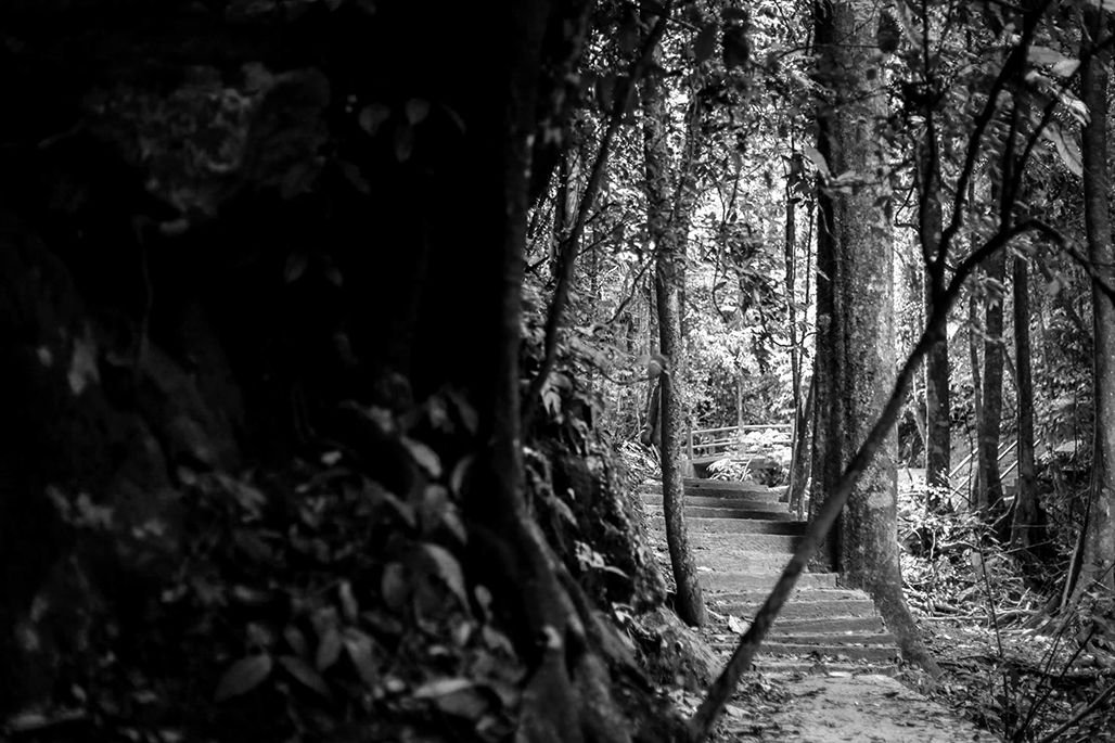 photo by oviyandi emnur (3).jpg