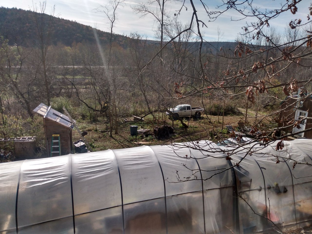 IMG_20231103_134538655_HDR.jpg