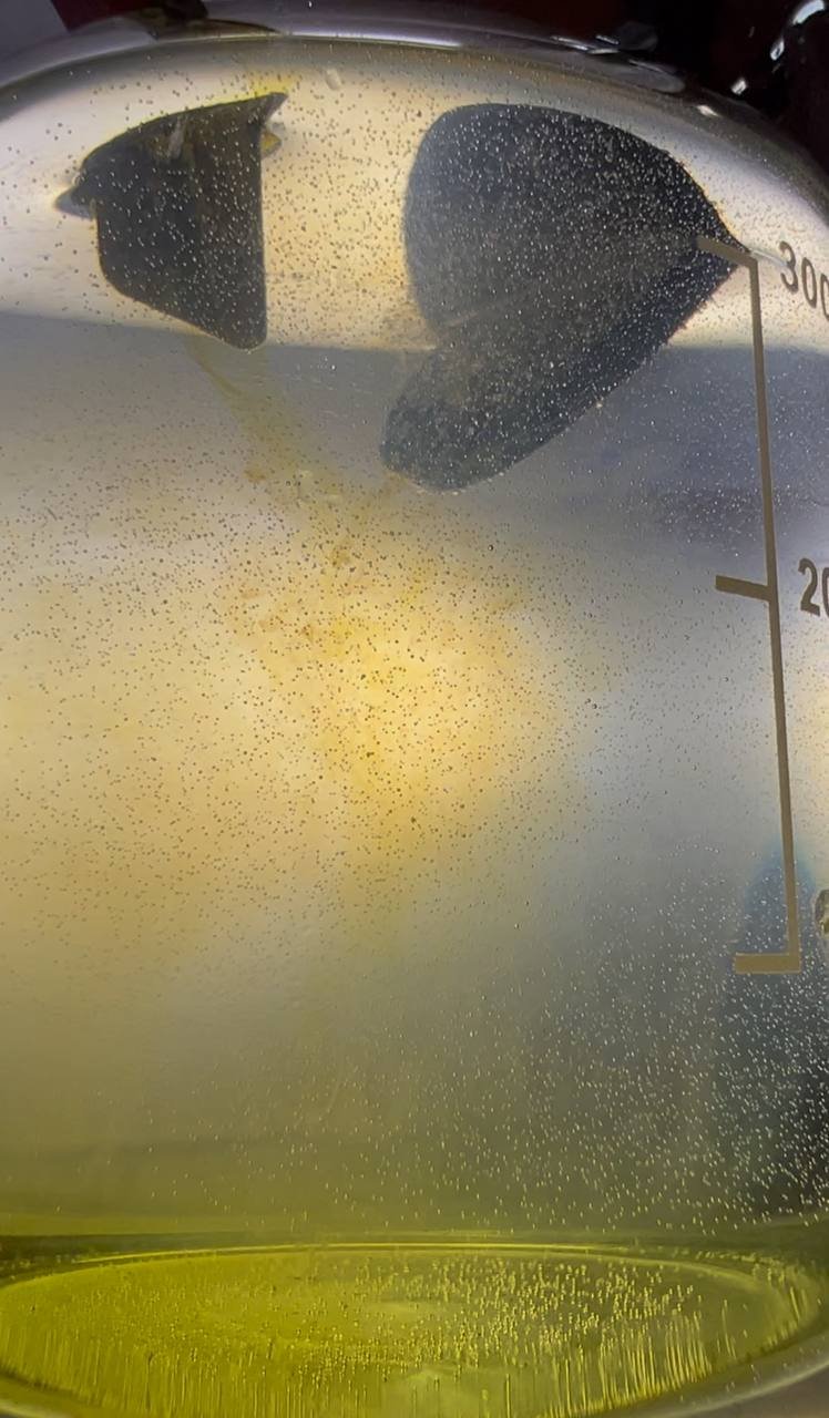 The Solution is turning Opaque - Insoluble precipitate begins forming with a small layer of Ammonium Tetrachloroaurate at the bottom.