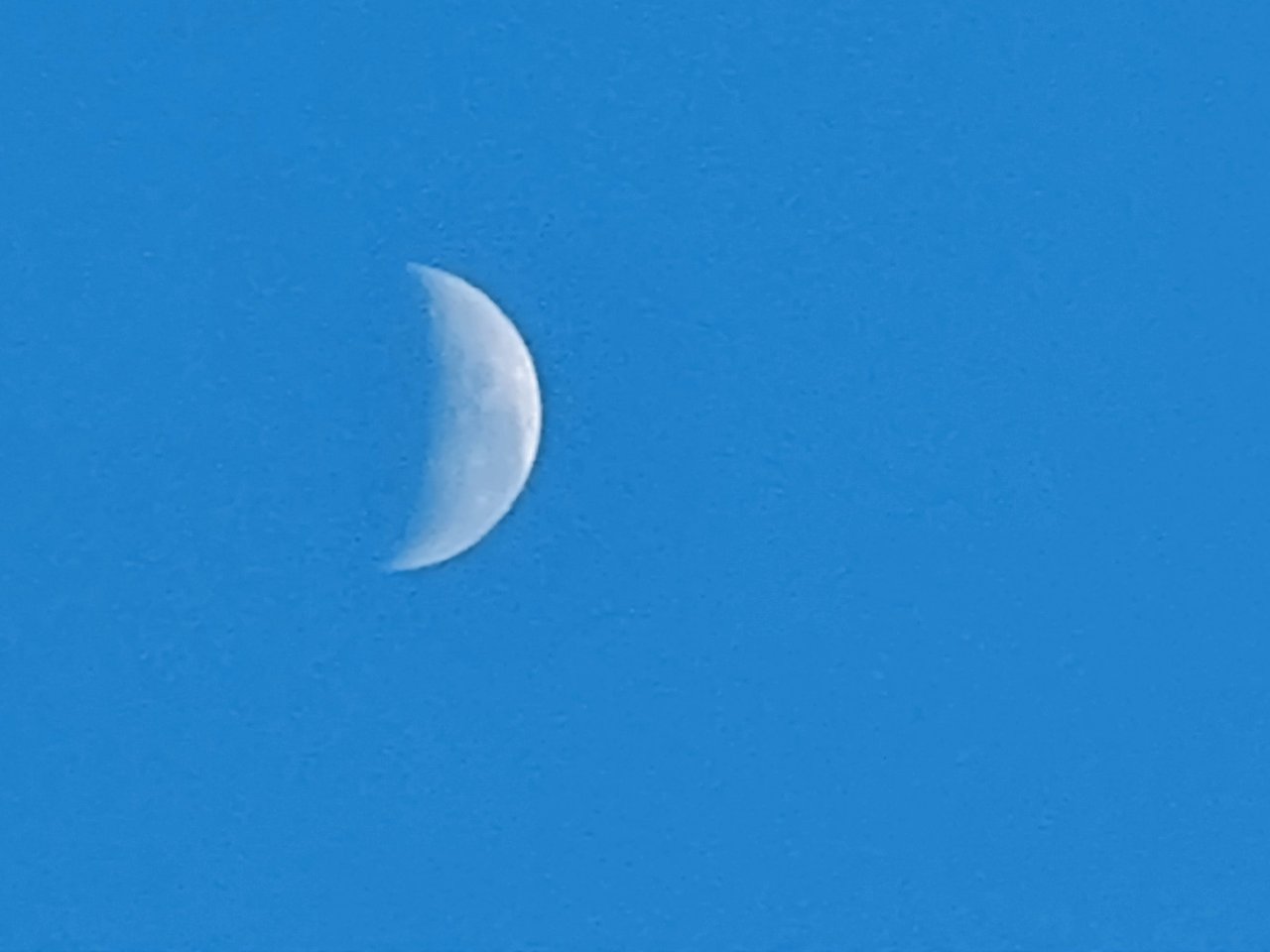 IMG20231107063048.jpg