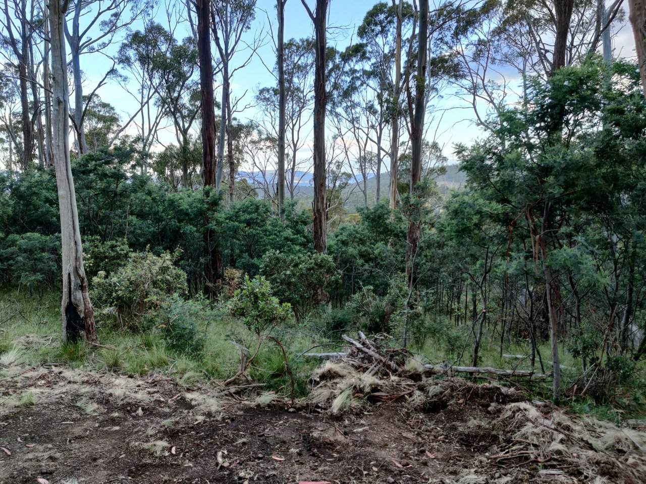 IMG20220109194015.jpg