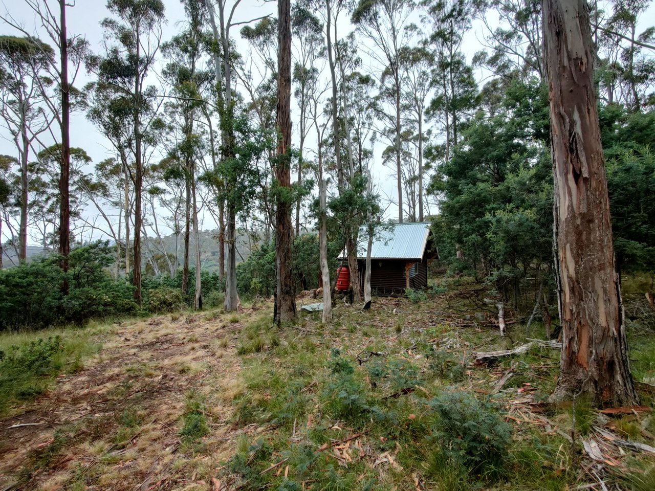 IMG20220112082811.jpg