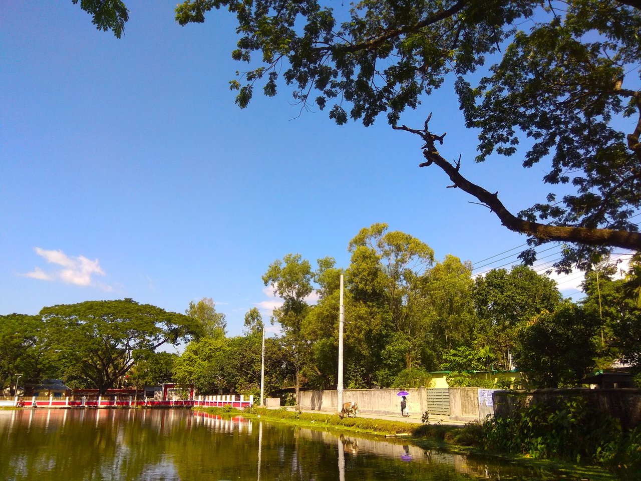 IMG_20210926_145923.jpg