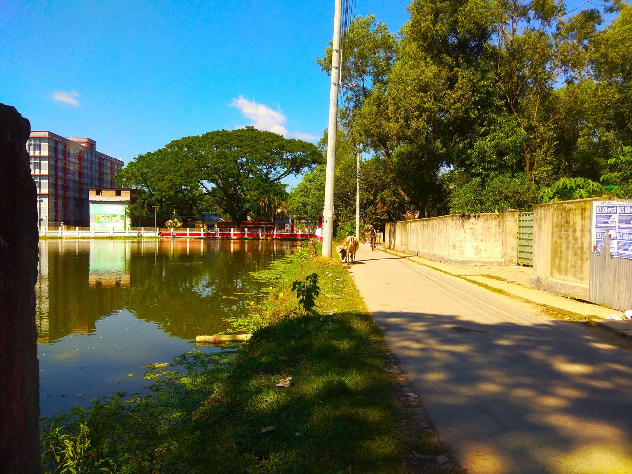 IMG_20210926_150003.jpg