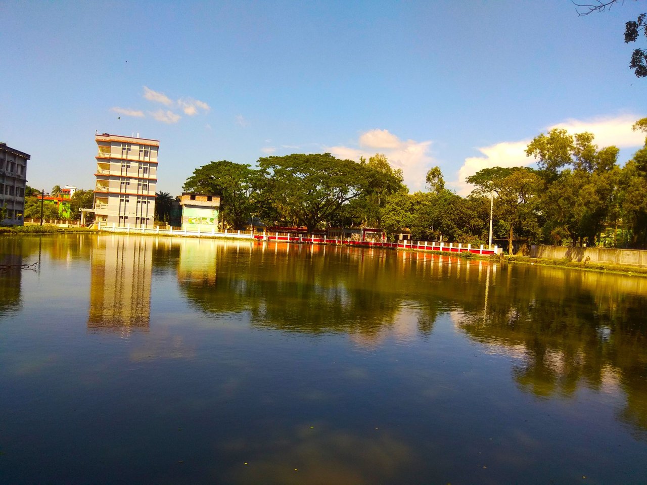 IMG_20210926_145733.jpg