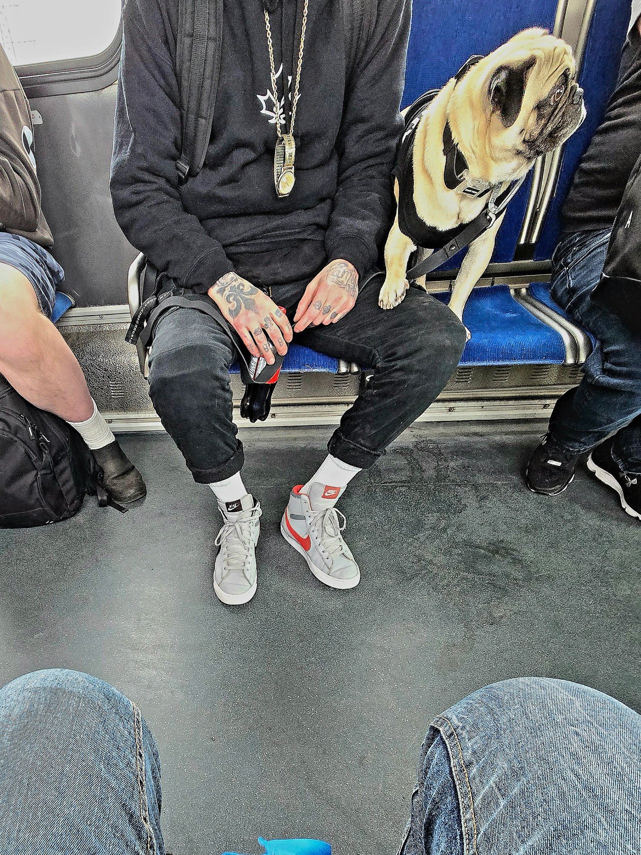 1000110782.jpg