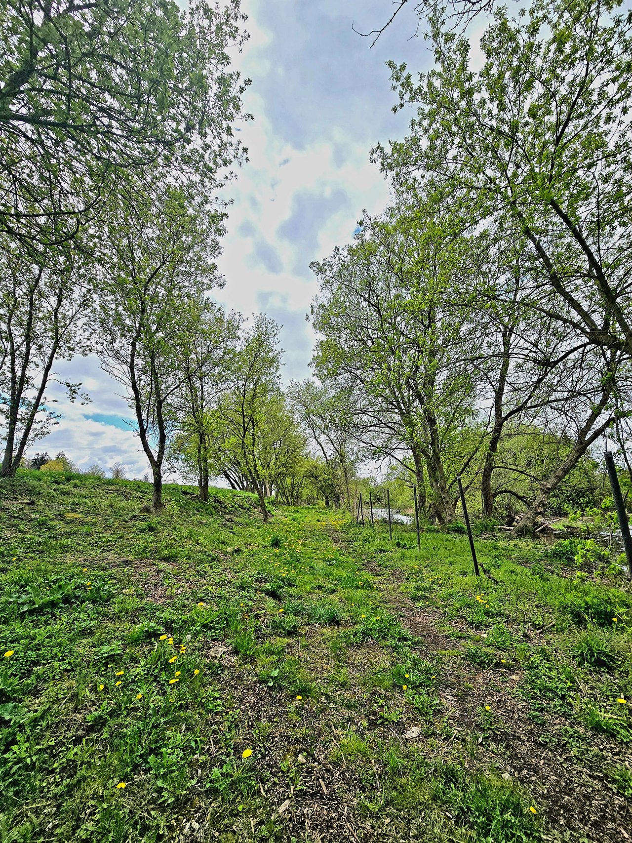 20250506_134106.jpg