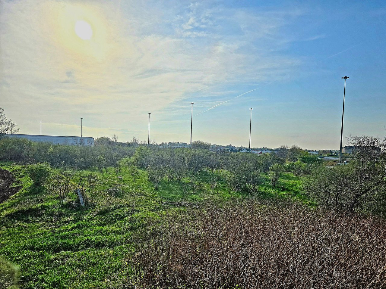 20250507_183314.jpg