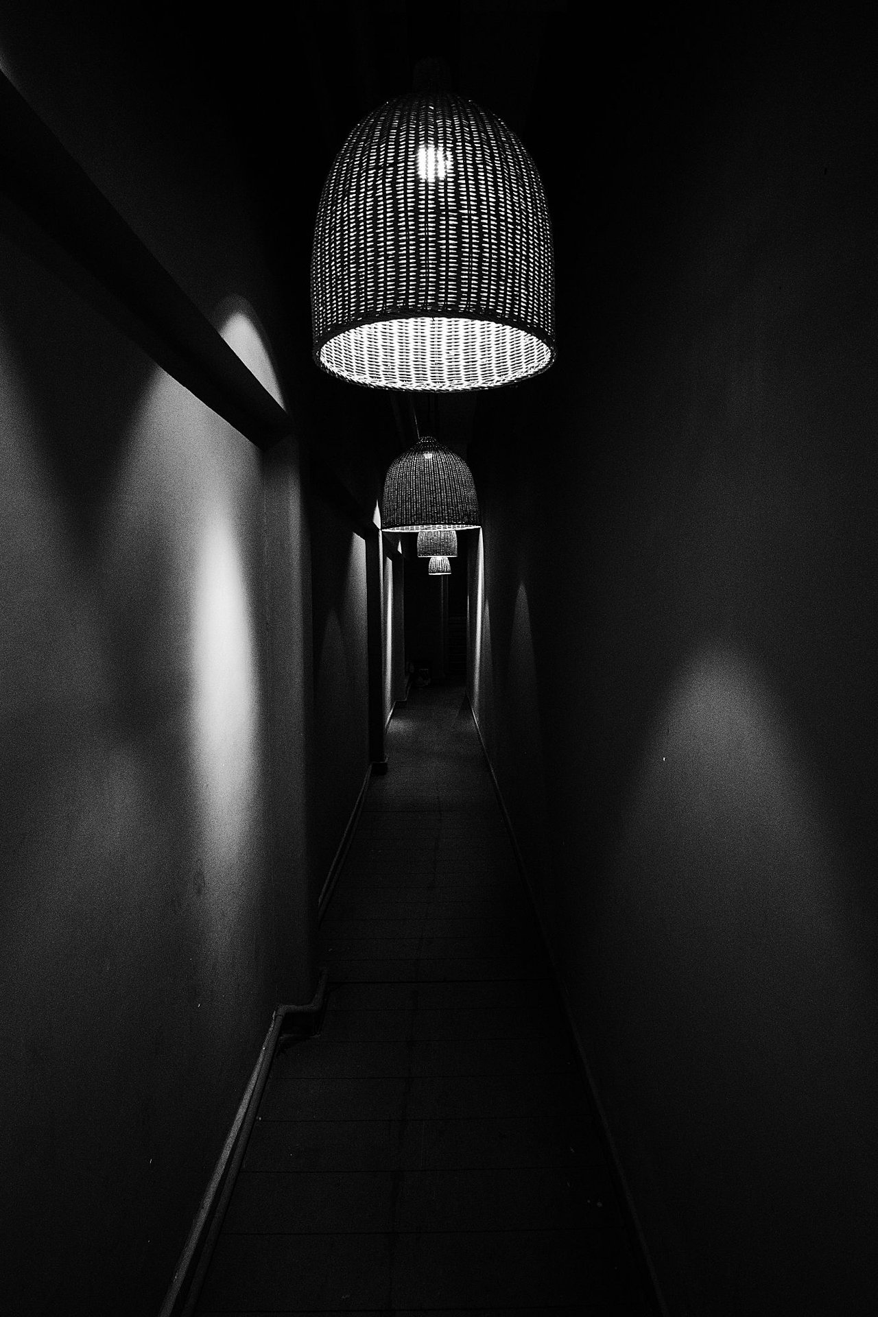 DSC04591-1.jpg