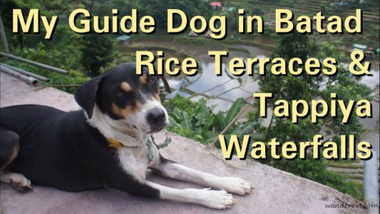 Batad Vlog: Rice Terraces & Tappiya Waterfalls Dog Guide