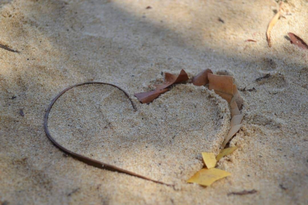 IMG20190304WA0009.jpg
