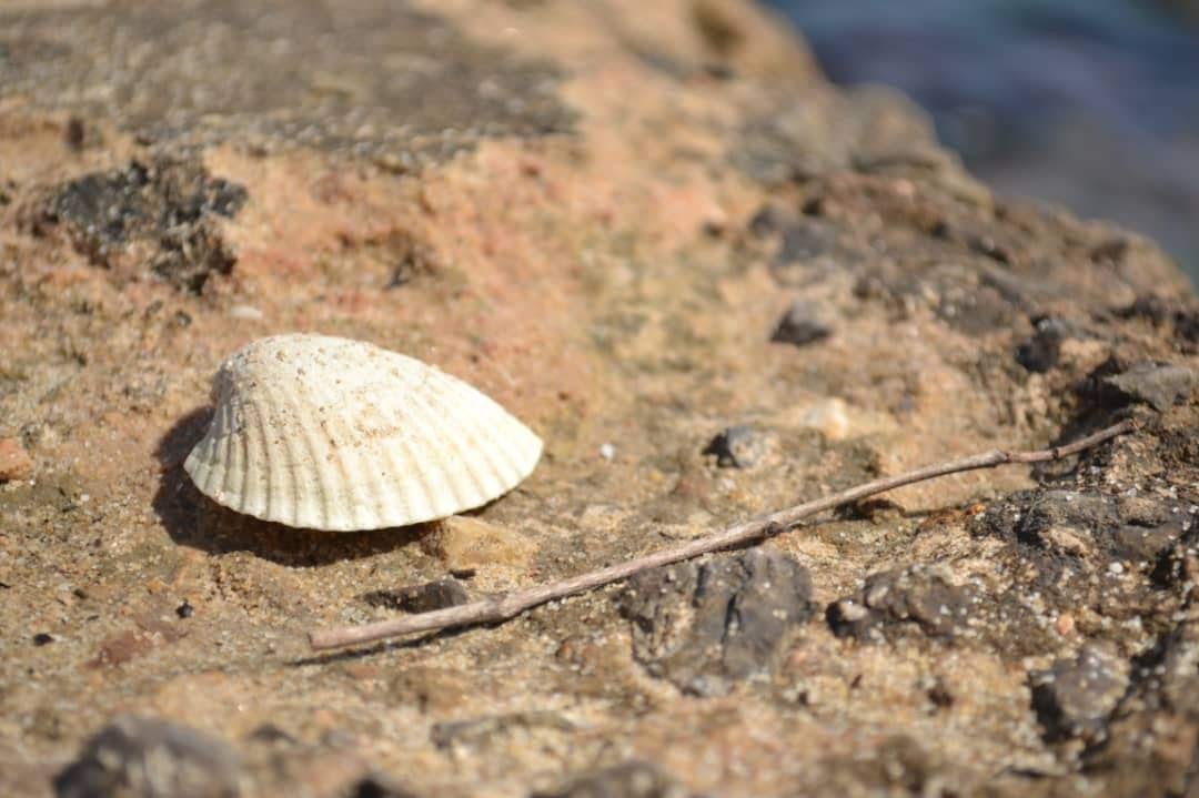 IMG20190304WA0008.jpg