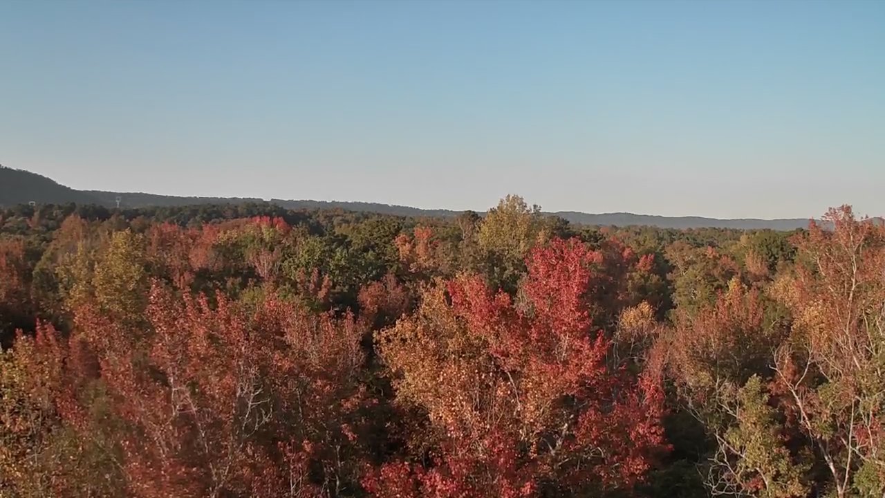 The Fall Colors are Really Starting to Pop!