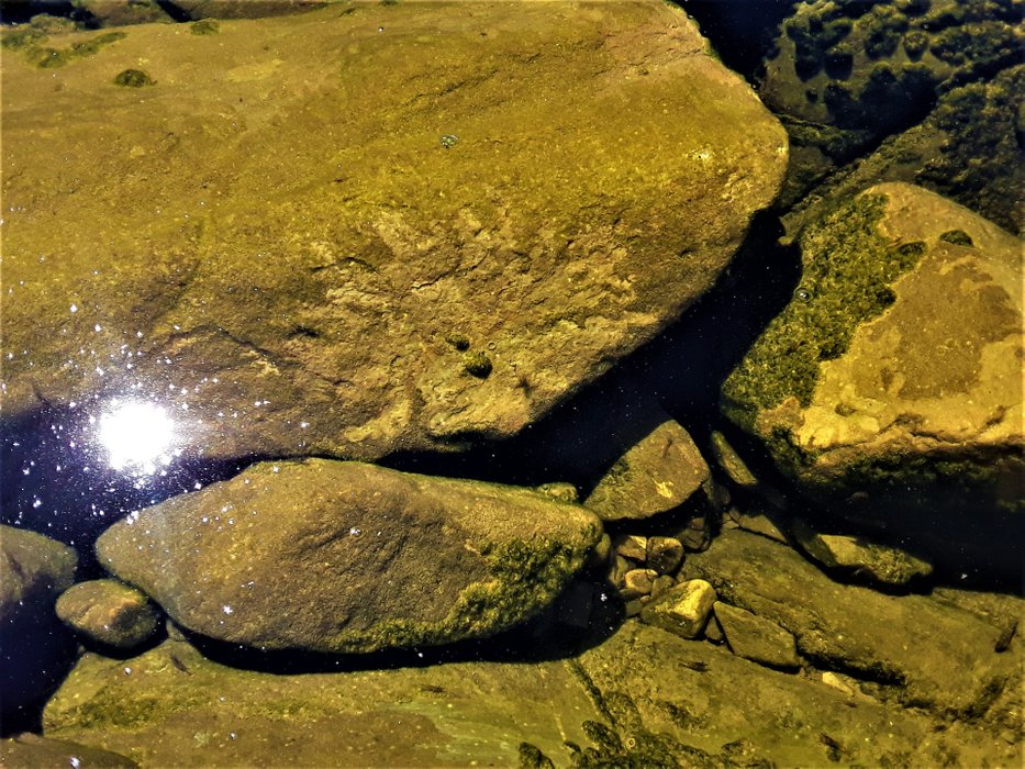Rock pool with sea water reflecting the sun