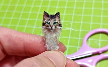 KittyHead1.jpg