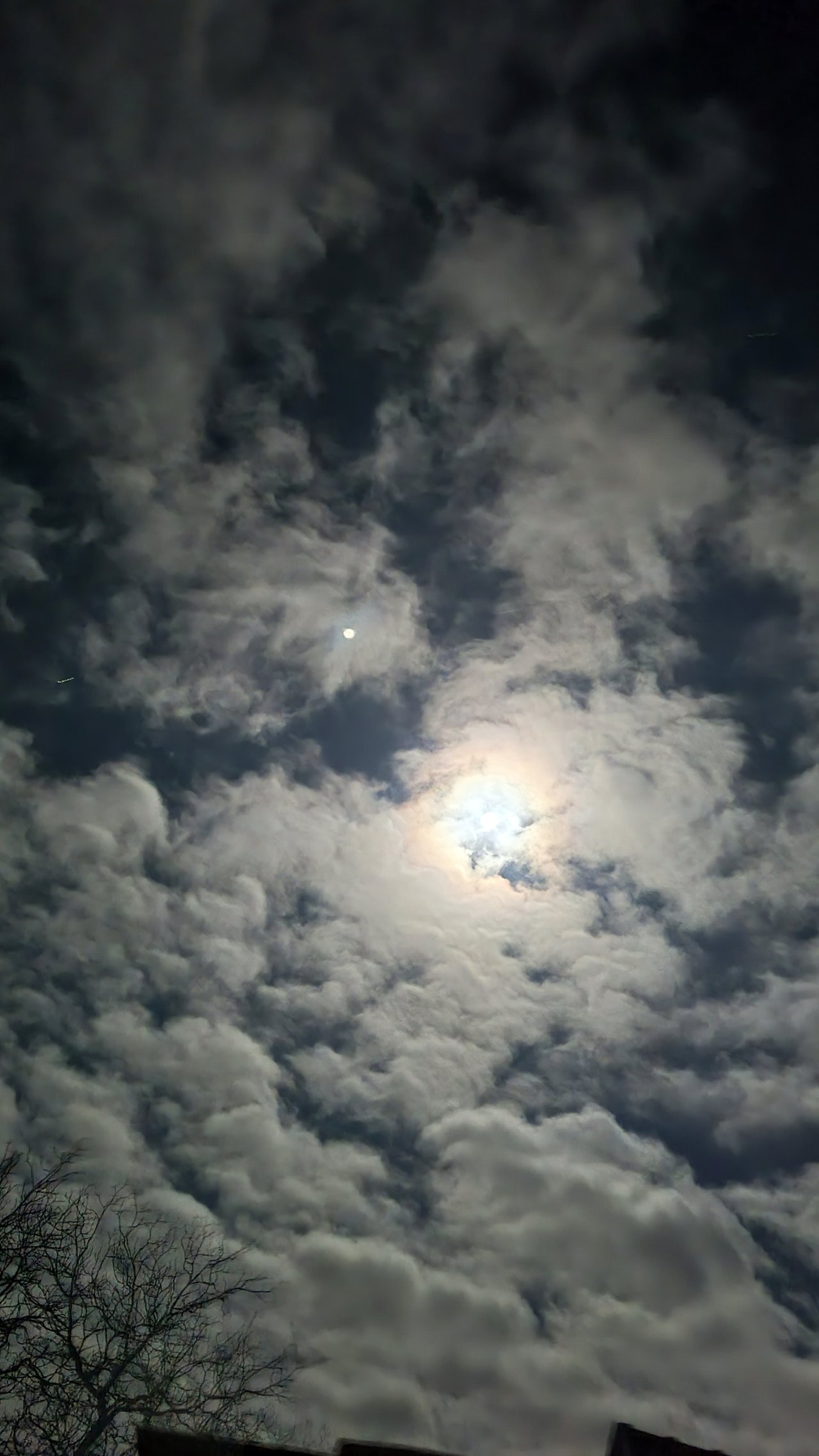 20211218_025625.jpg