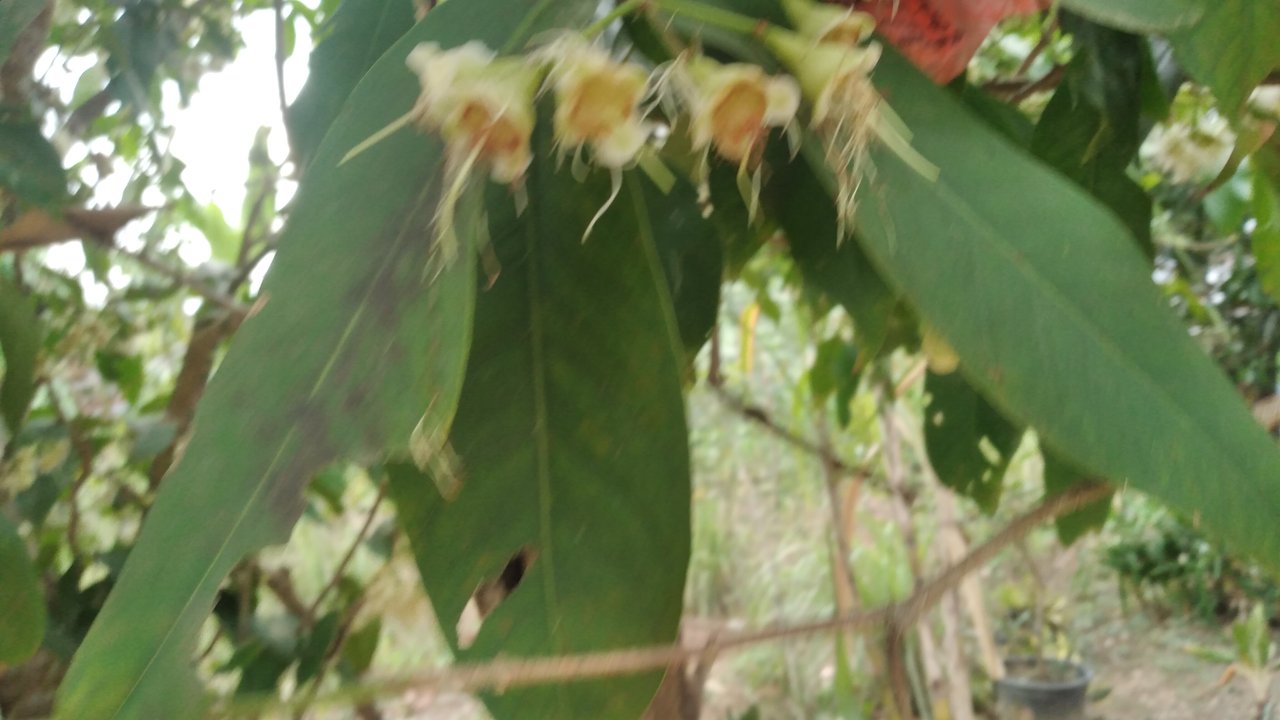 20240326_160818.jpg