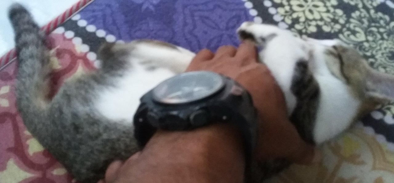 20210513_170349.jpg