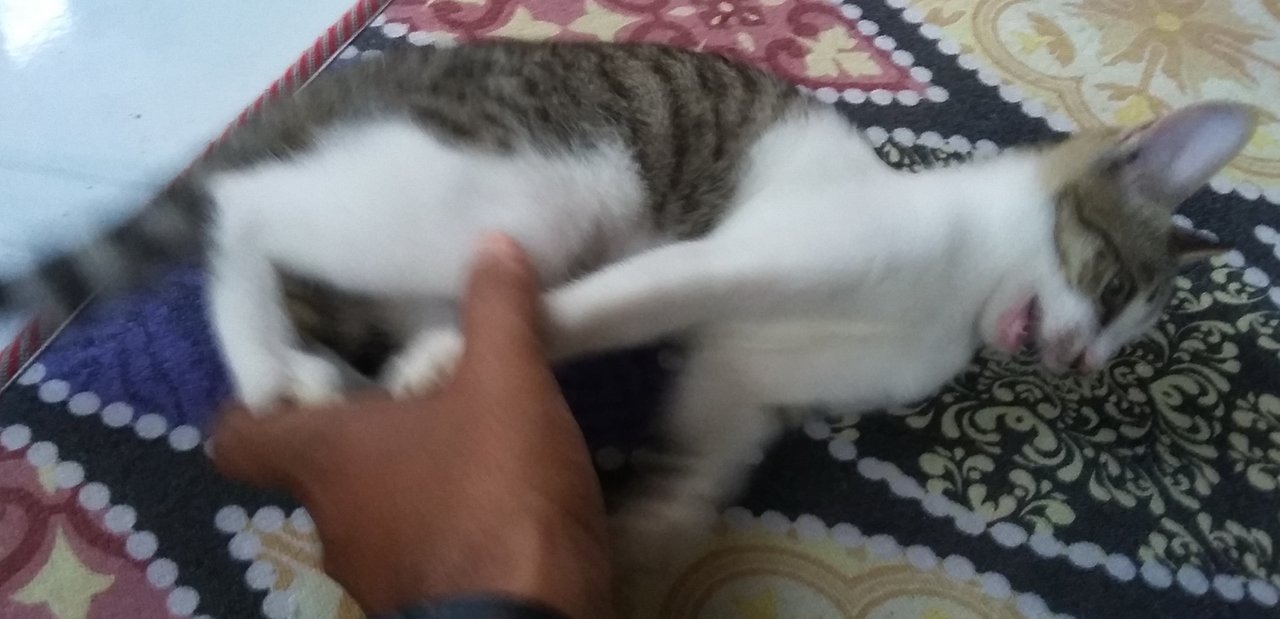 20210513_170337.jpg