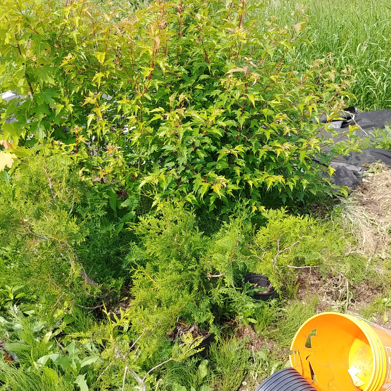 20220615_155515.jpg