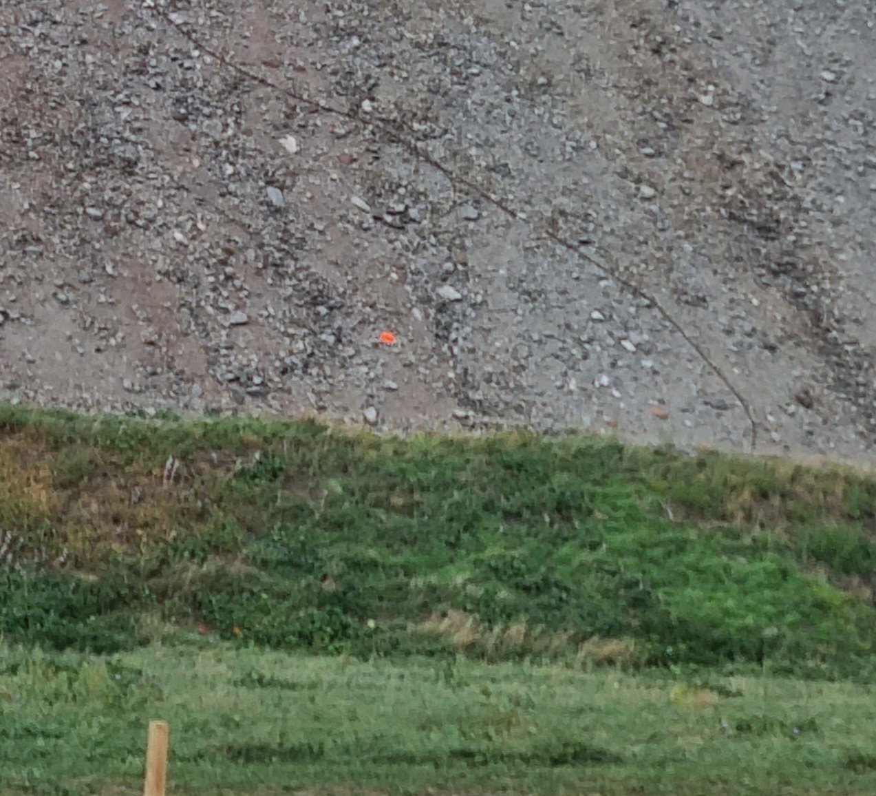 20230924_110557.jpg