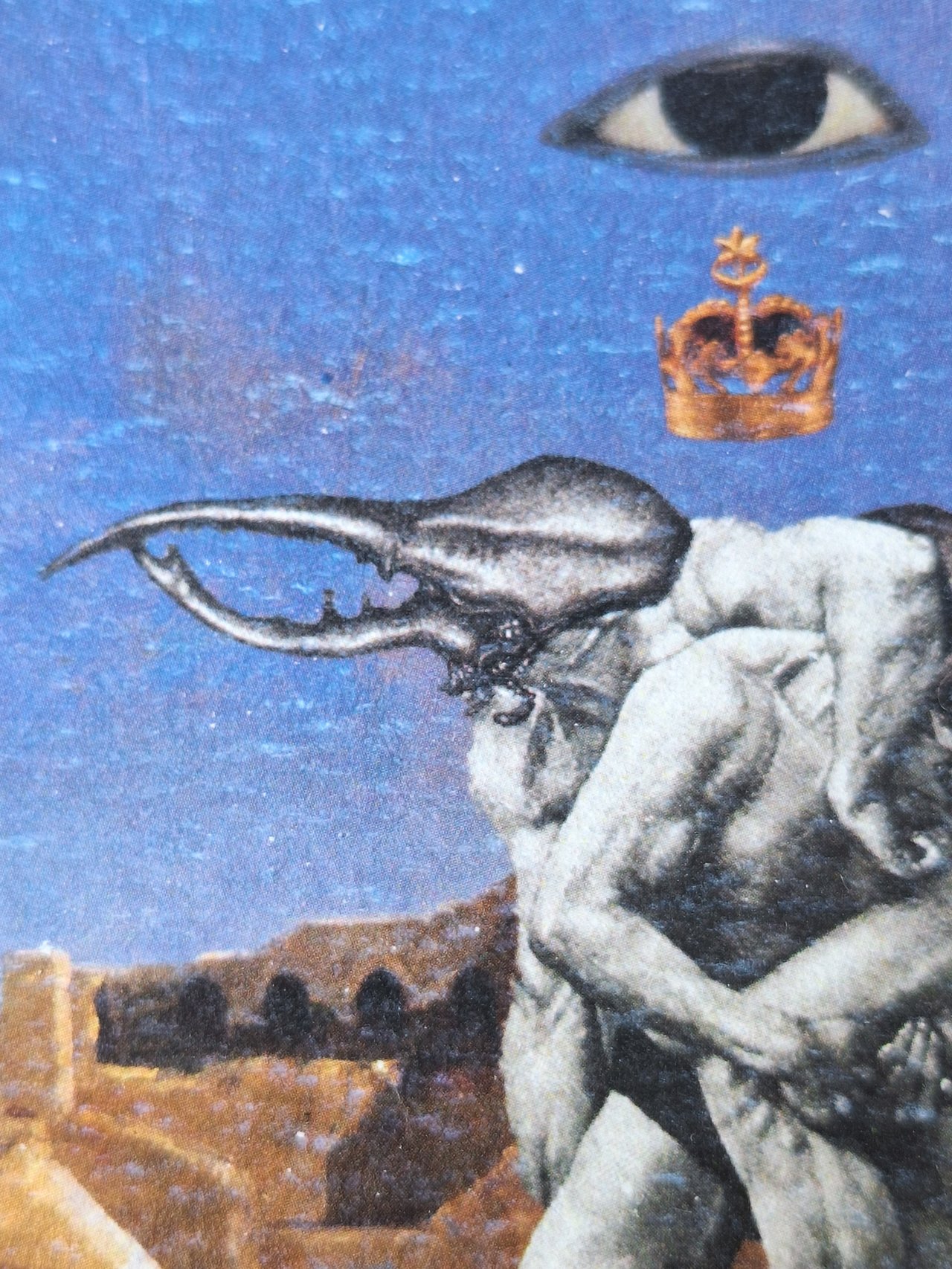 20250526_122818.jpg