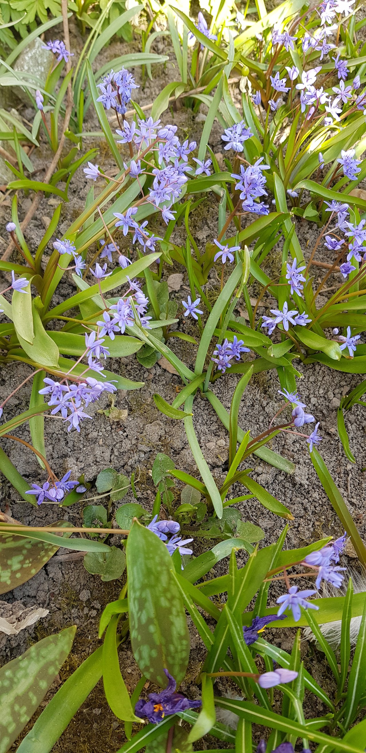 20220328_104412.jpg