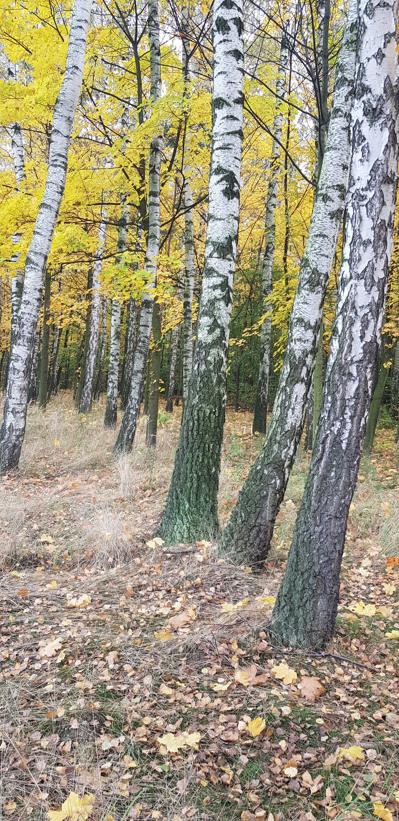 20231030_095959.jpg