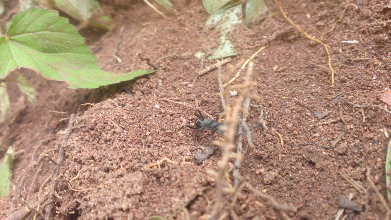 WP_20200807_044.jpg