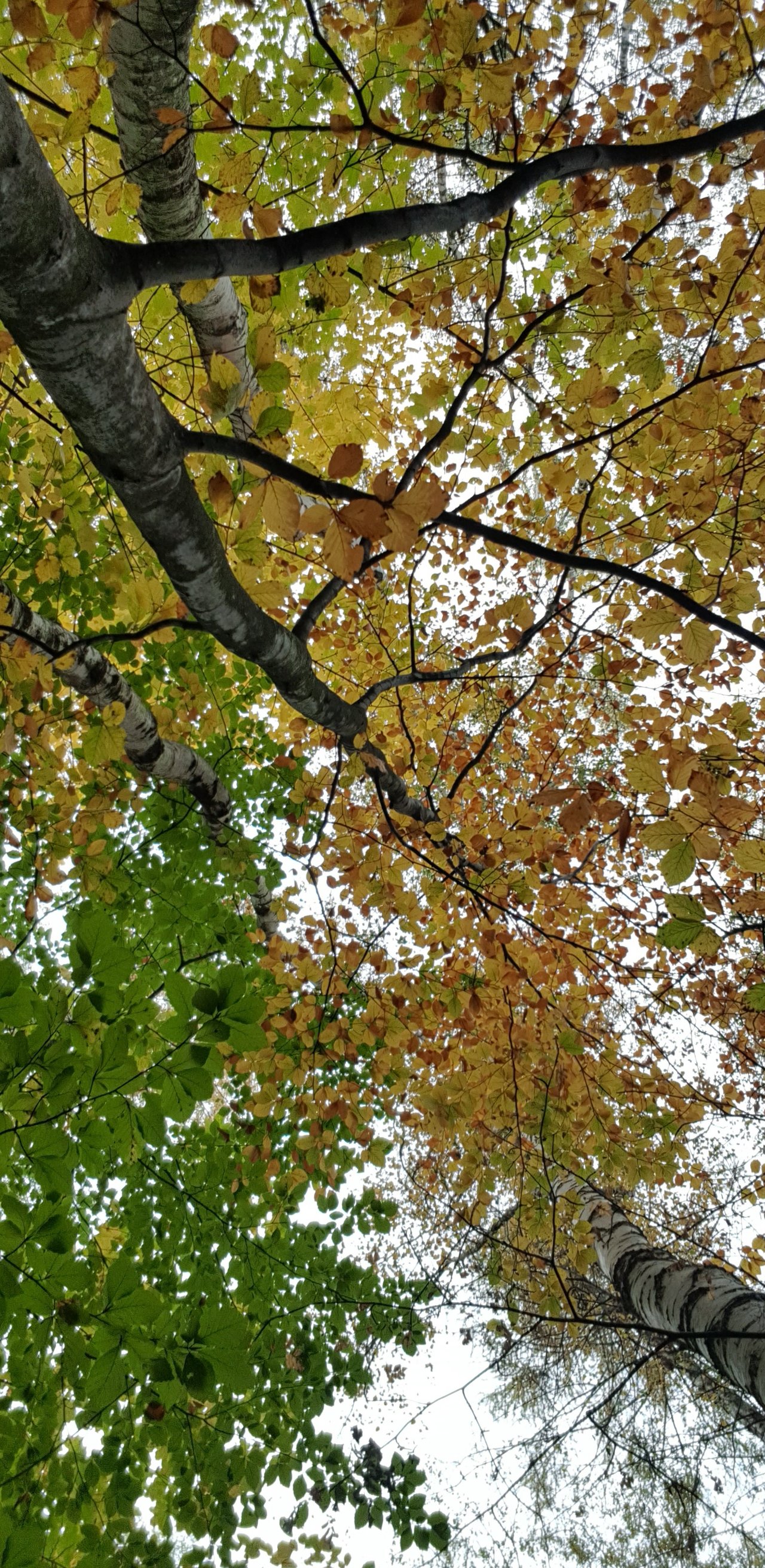 20231030_095045.jpg