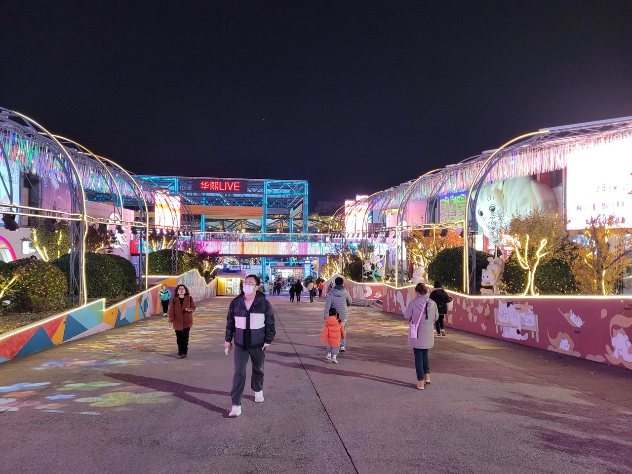 20241103_182532.jpg