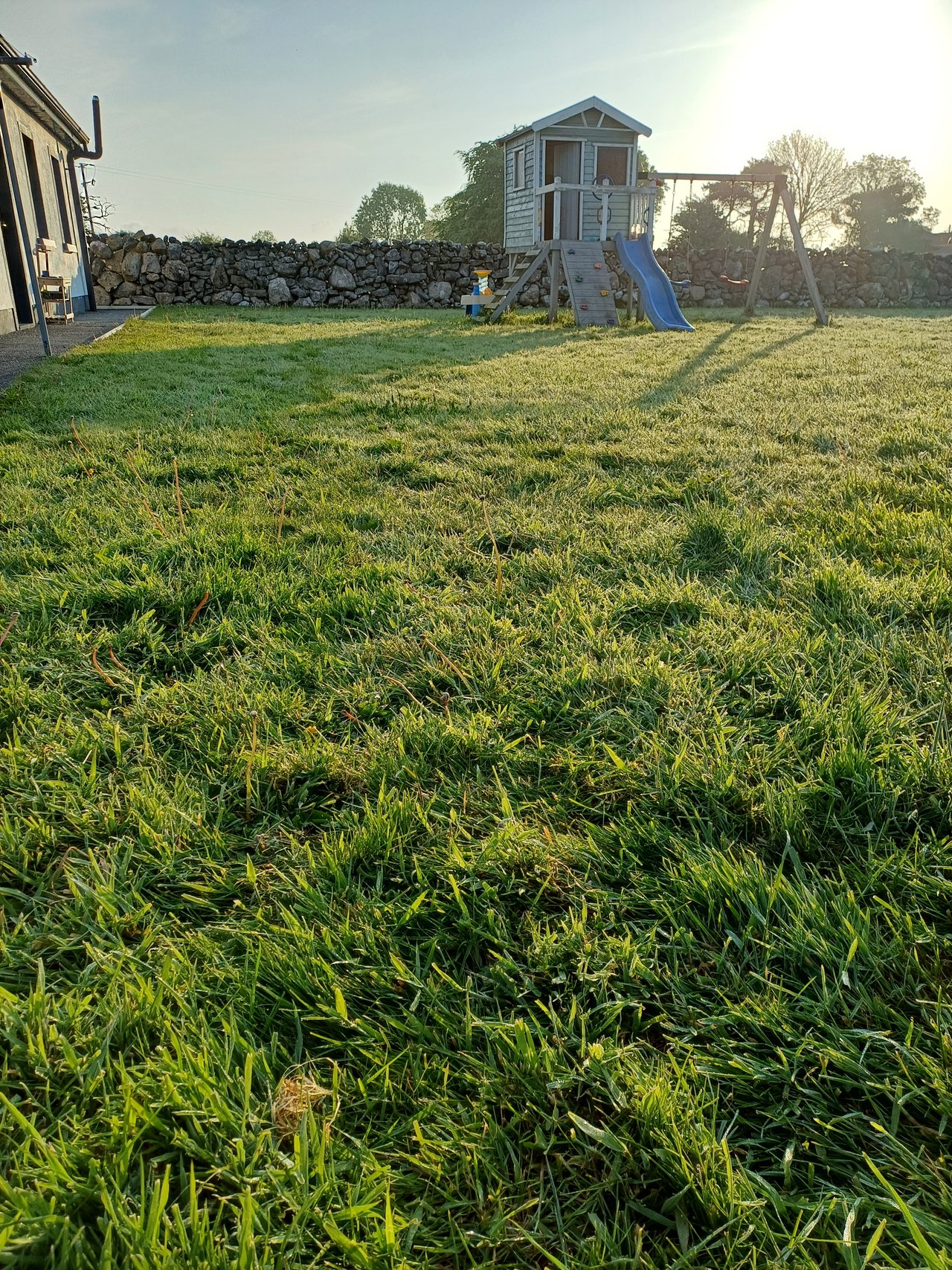 20250511_065358.jpg