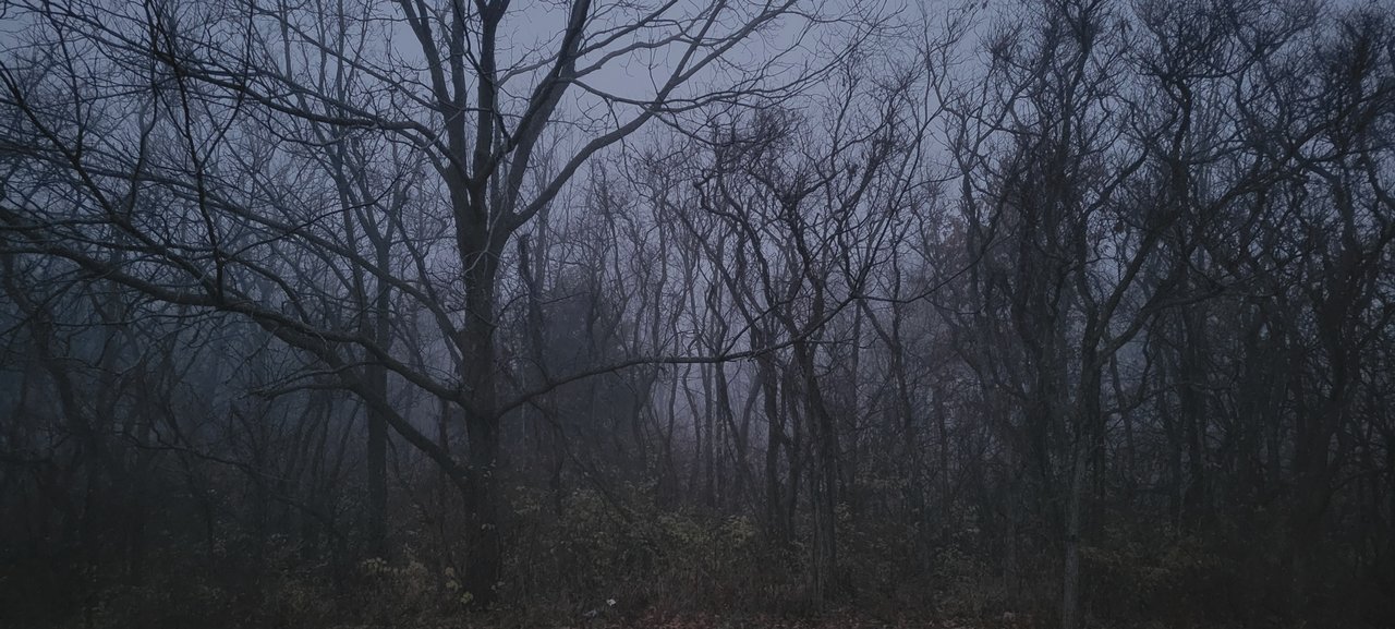 20211210_064648.jpg