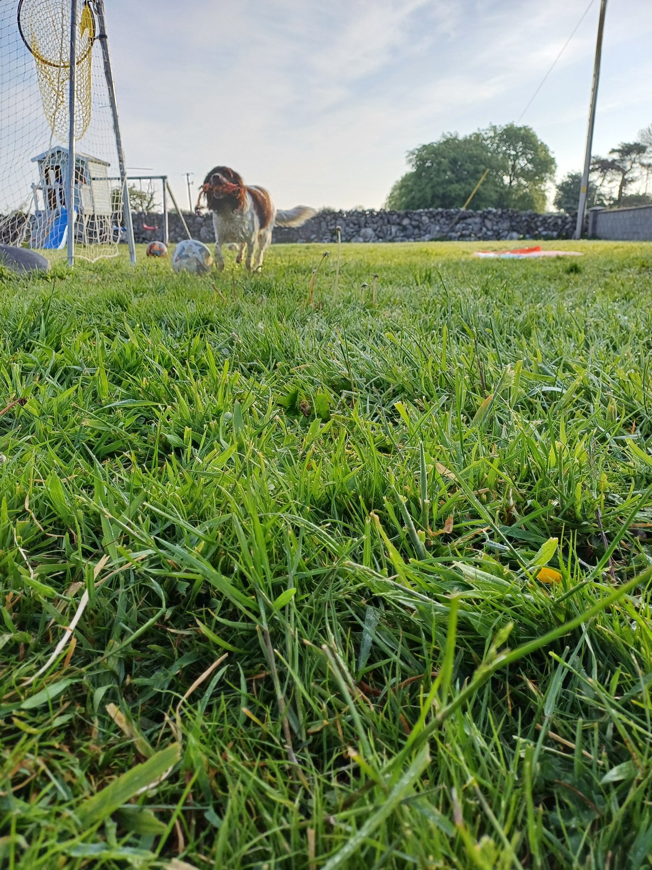 20250511_071920.jpg