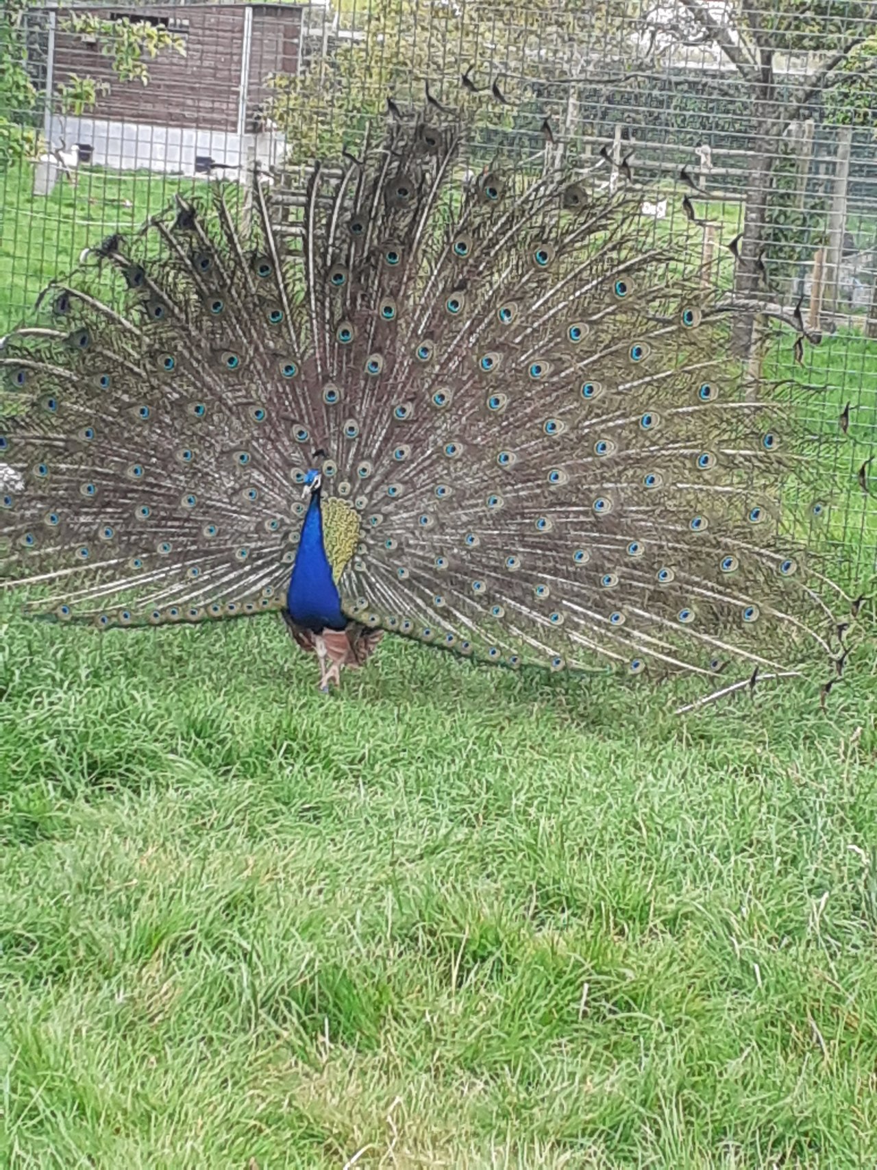 20220601_121317.jpg