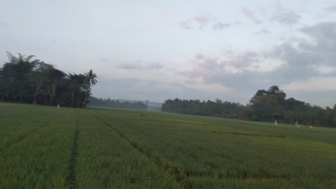 20240318_064601.jpg