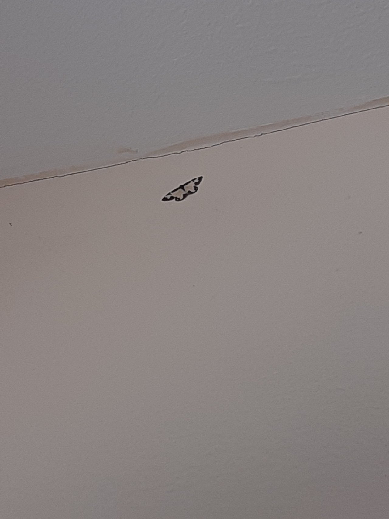 20220614_084141.jpg