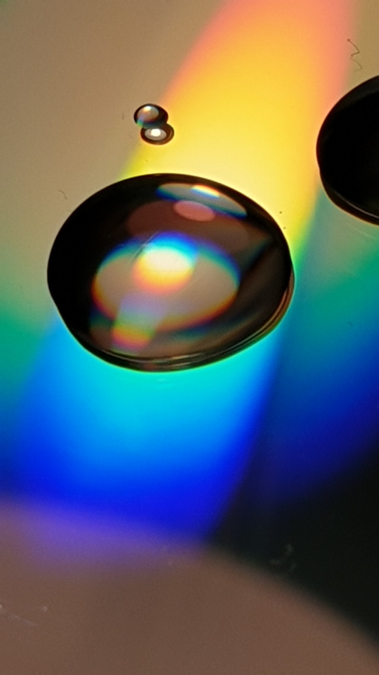20210215_174708.jpg