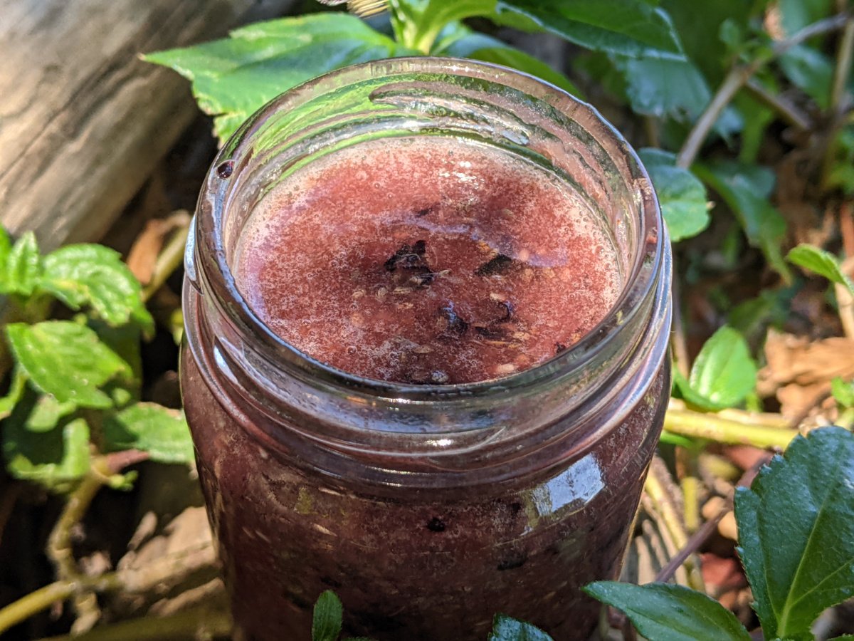 CHIA-SEED-JAM-6.jpg