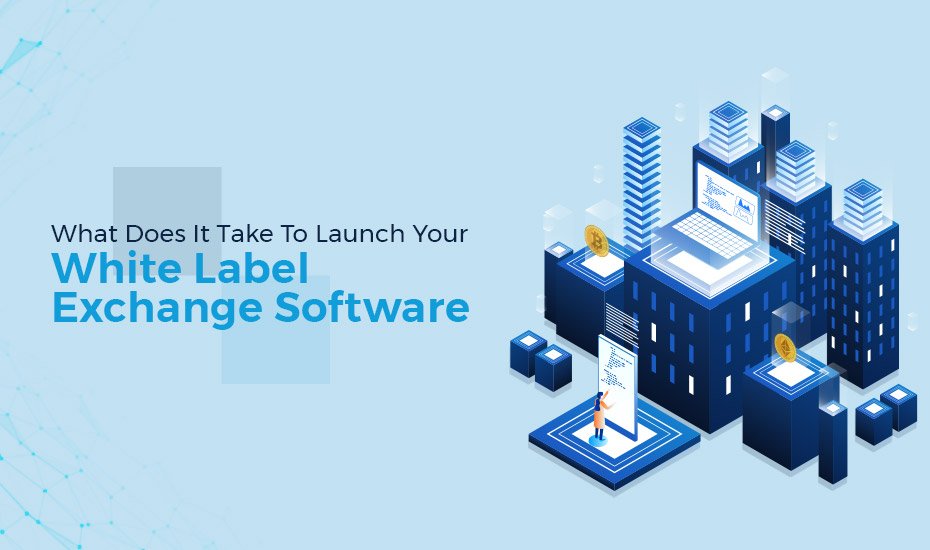 What-Does-It-Take-To-Launch-Your-White-Label-Exchange-Software.jpg