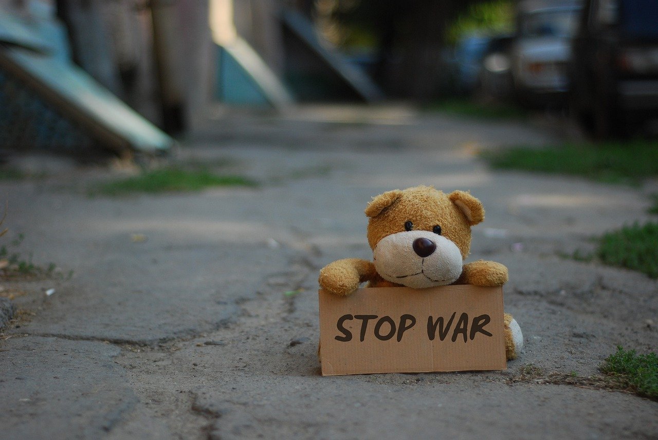 teddy-bear-g9241f91c9_1280.jpg
