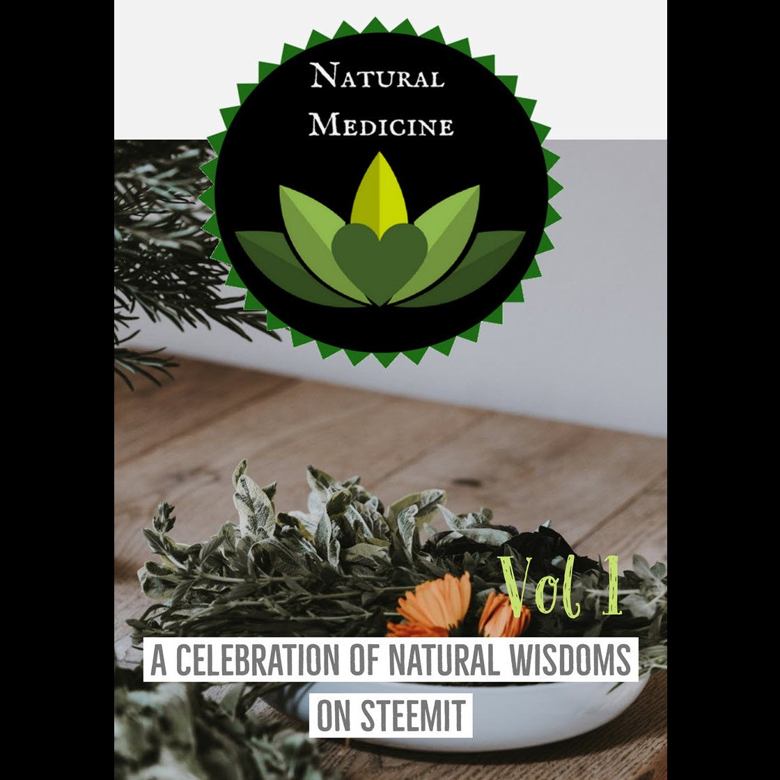 cover Natural Medicine Vol 1 A Celebration of Natural Wisdom resized 1120 x 1120 96dpi.jpg
