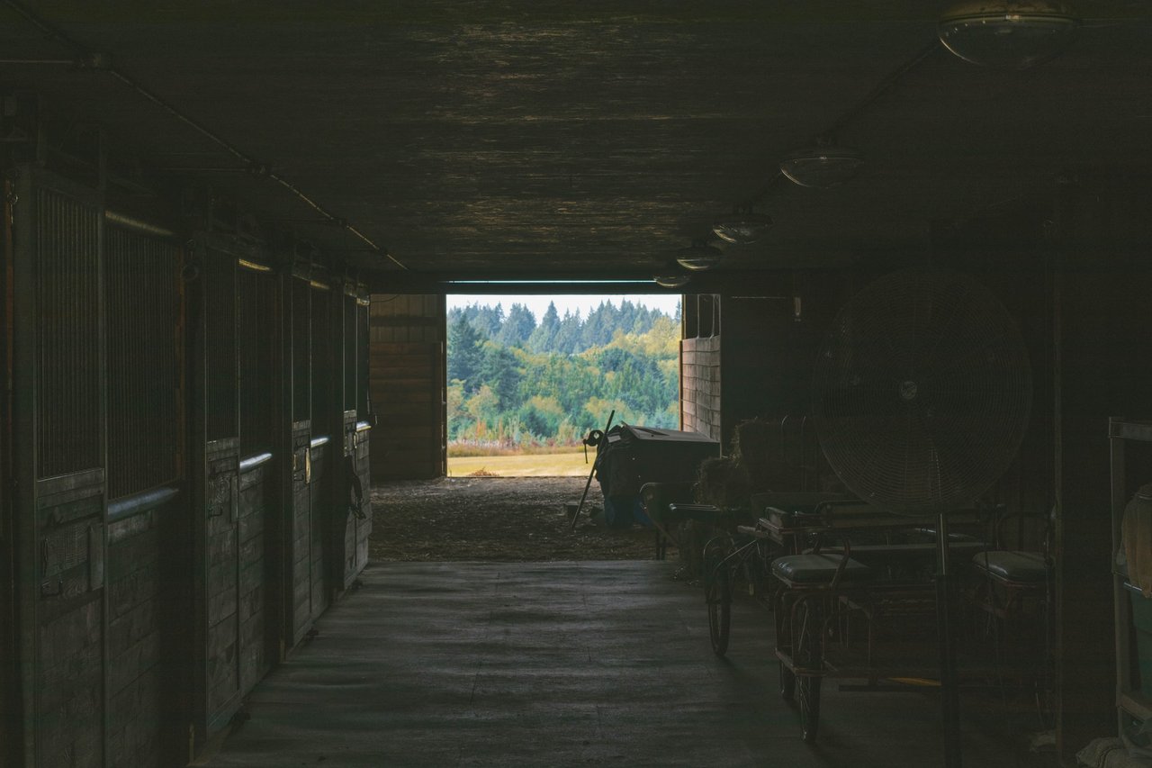 ryan-yeaman-EIMgTi64vv8-unsplash.jpg