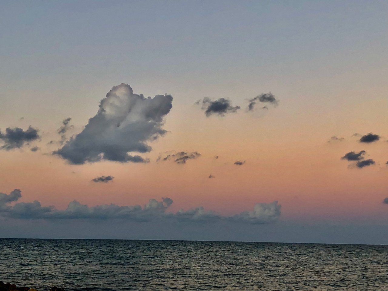 5B3537A5-14CA-4C5A-8BA5-436014A23370.jpeg