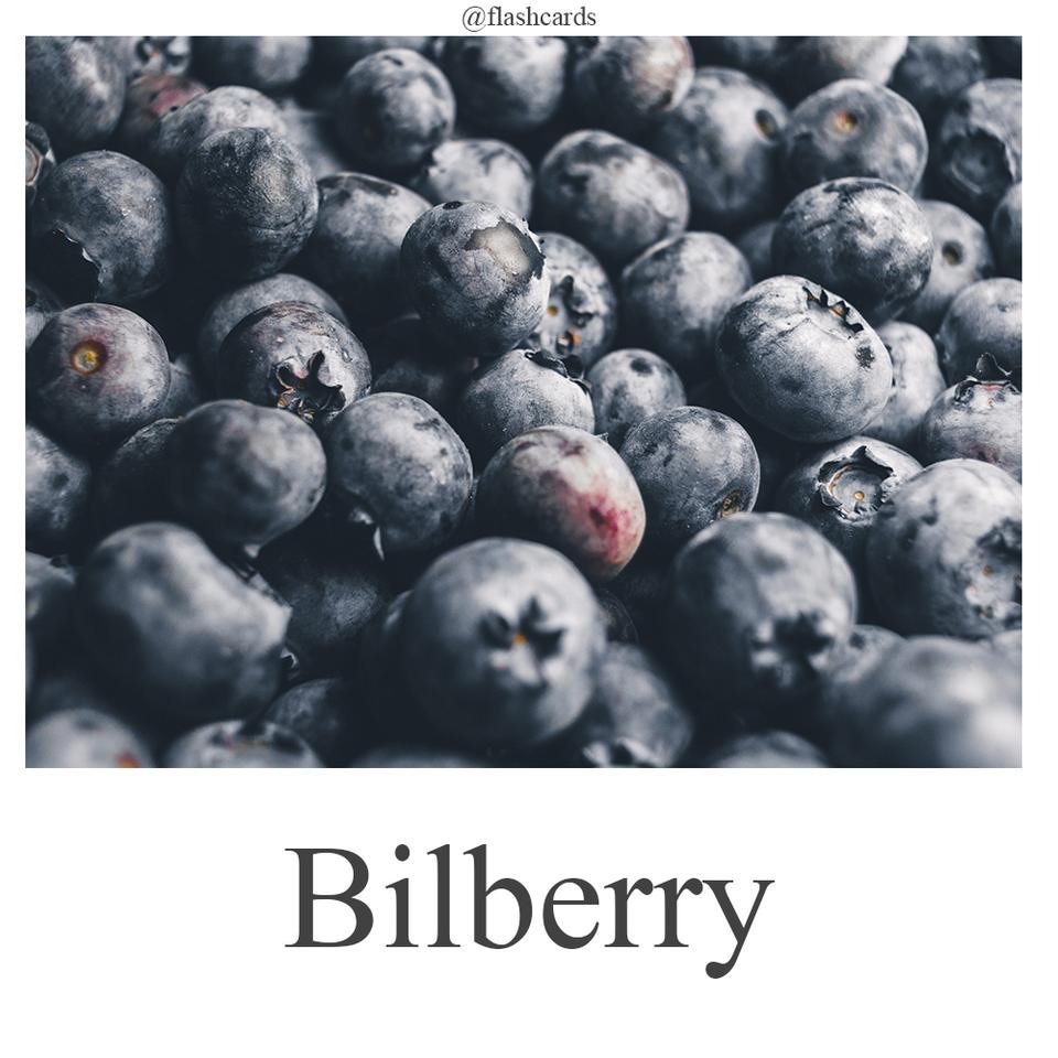 Bilberry.jpg