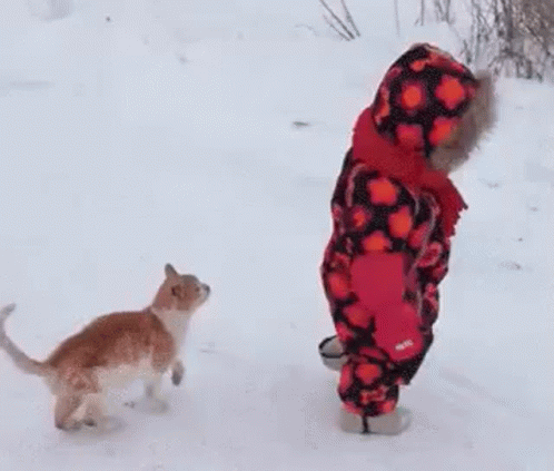 untitled.gif