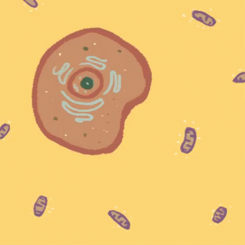 untitled.gif