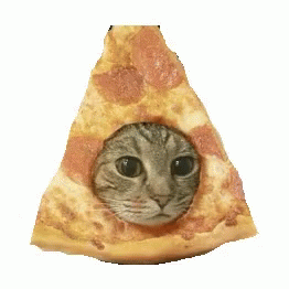 untitled.gif
